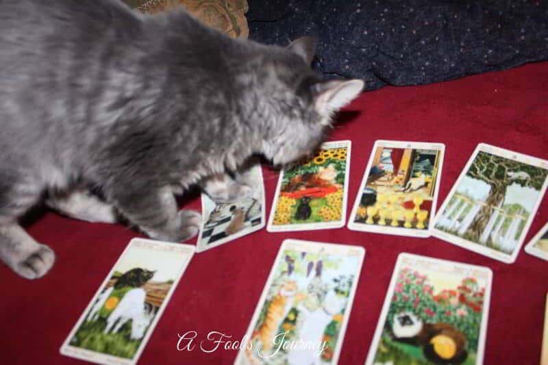 weekly tarot forecast september 2015