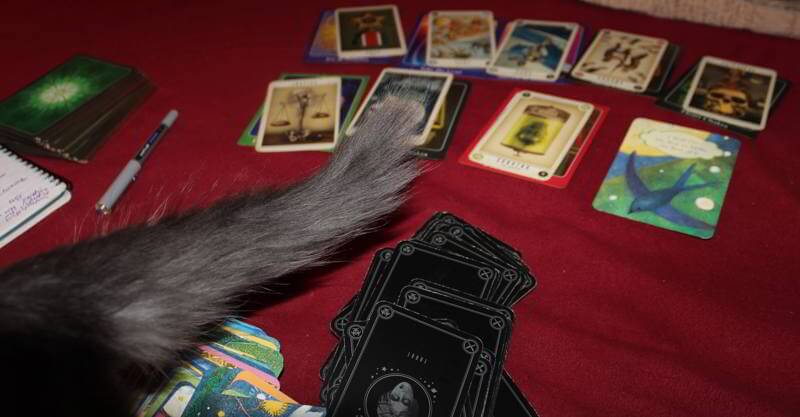 Playing that Hand: Weekly Tarot Forecast, Oct 12 – 18
