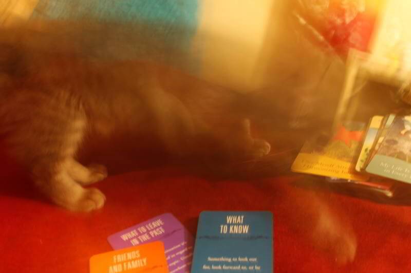 It's What you See - Weekly Tarot Forecast, Nov 2 - 8, 2015 Everyday Tarot