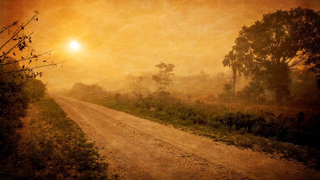 2016 Tarot Forecasts: Themes in The Collective