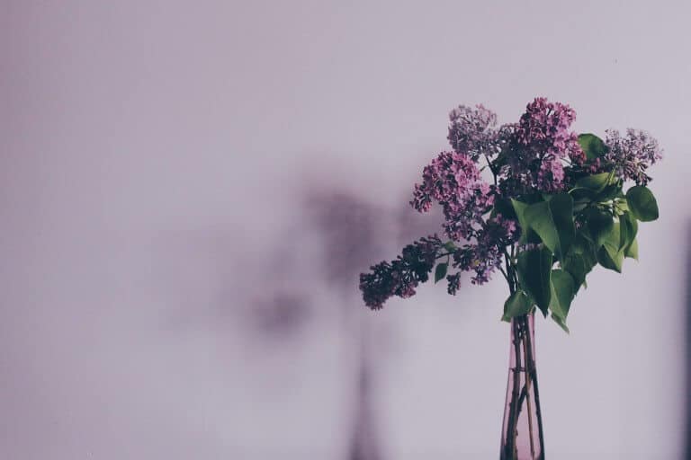 Accepting the Good: Weekly Tarot, Jan 25 – 31, 2016