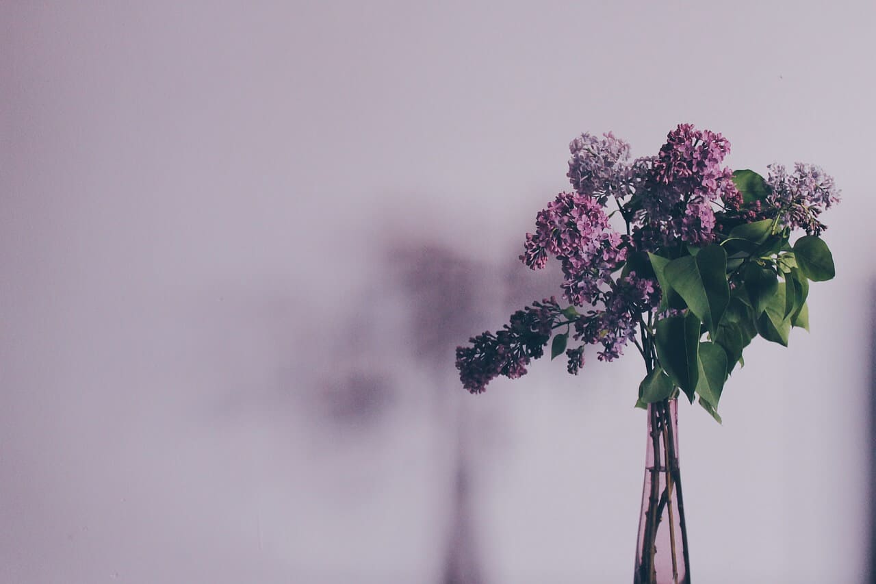 Accepting the Good: Weekly Tarot, Jan 25 - 31, 2016 Everyday Tarot
