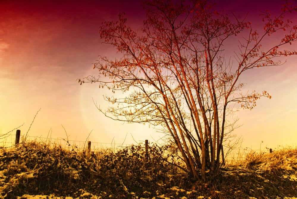 Muddling through the Here and Now: Weekly Tarot, Feb 22 - Feb 28 Everyday Tarot