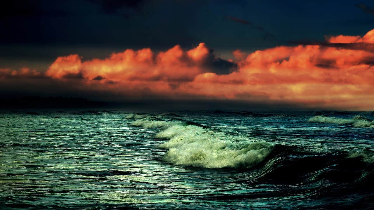 Riding the Waves: Weekly Flow Tarot, Feb 15 -21 Everyday Tarot
