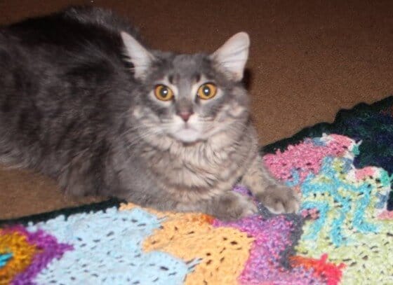 Moon Signs Blanket: A Little Woo in Crochet