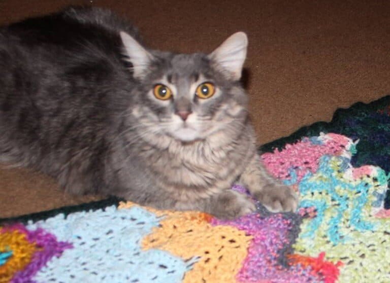 Moon Signs Blanket: A Little Woo in Crochet