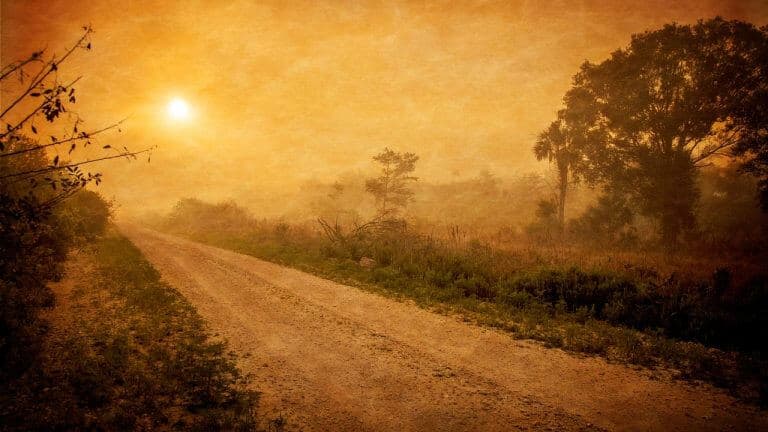 Stay in your Own Lane: Weekly Tarot, July 11 – 17