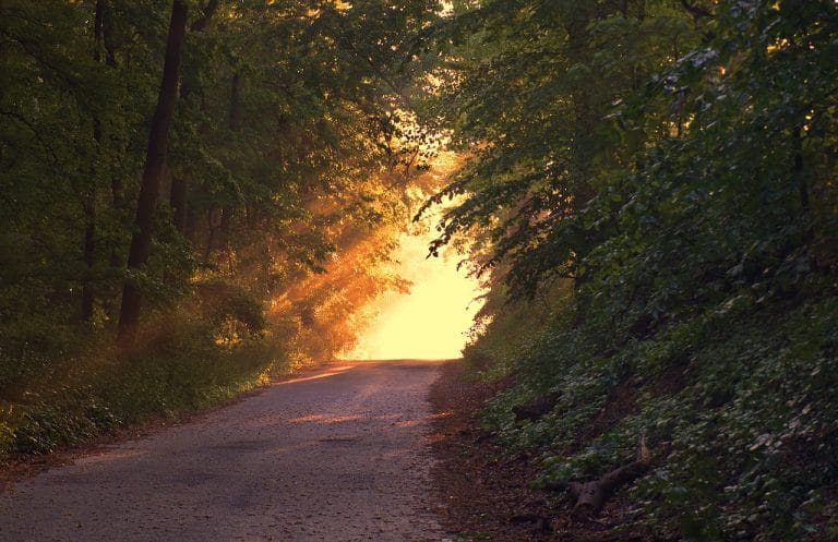 Path is Personal: Weekly Tarot, Aug 1 – 7