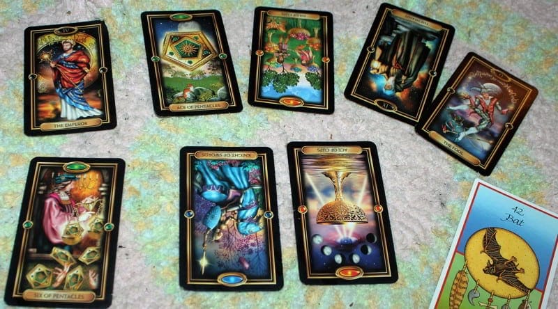 Note to self: Clean rug before using the good camera.