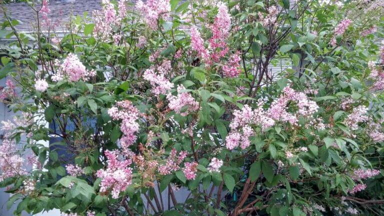 Freedom Via Perspective: Weekly Tarot, October 17 – 23, 2016