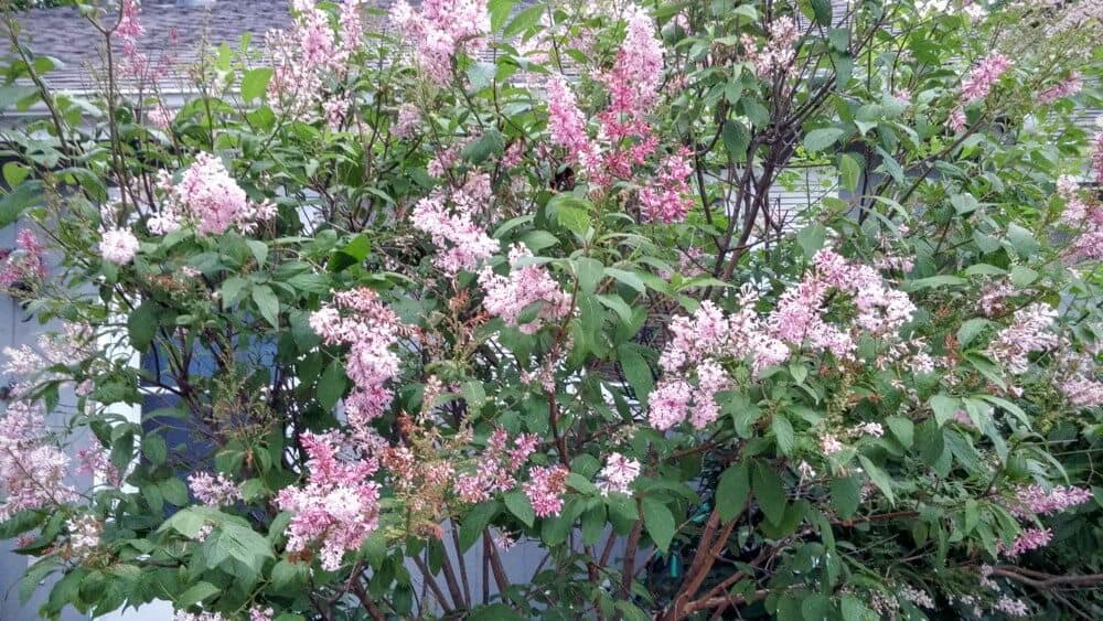 Freedom Via Perspective: Weekly Tarot, October 17 - 23, 2016 Everyday Tarot