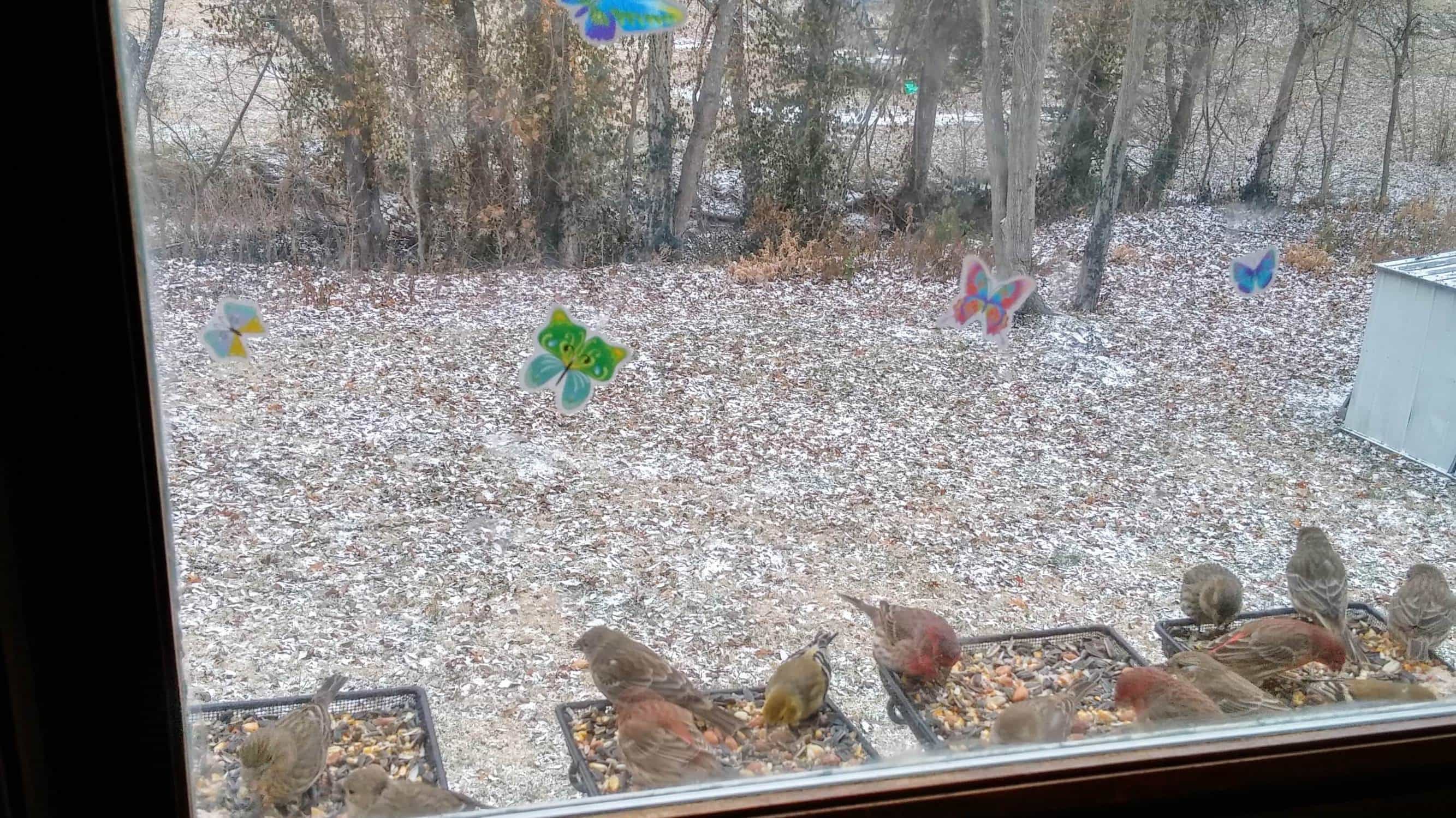 Clearing Emotional Residue: Tarot Forecast, Dec 19 - 25 Everyday Tarot