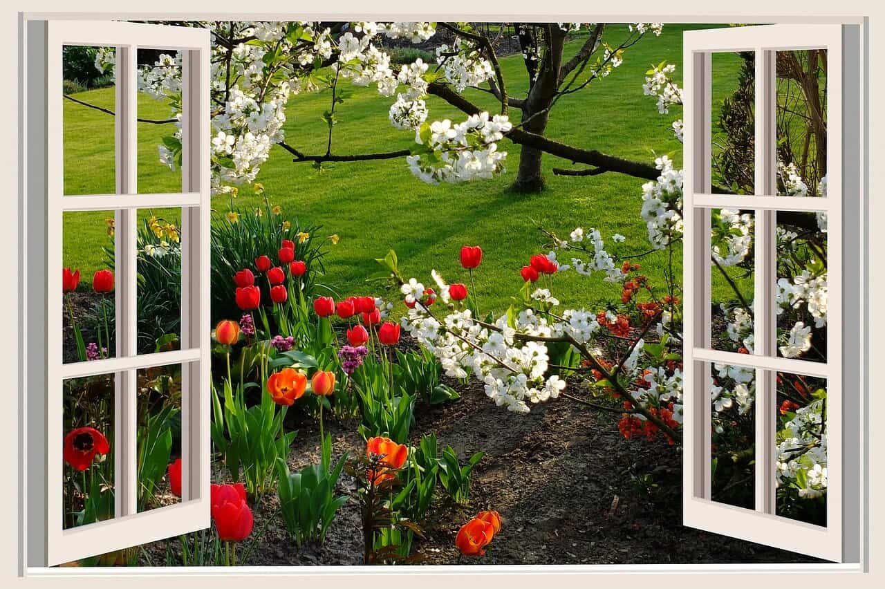 Jump through that window! Weekly Tarot, 05/29/17 Everyday Tarot