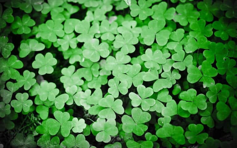 Luck in Disguise? Weekly Tarot, June 6, 2017