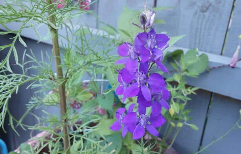 Queen of Cups: Mind Your Own (Emotional) Business