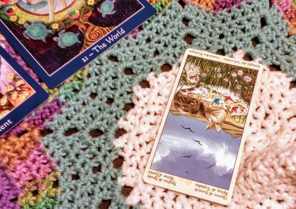 Queen of Swords Reversed: Be a Chill Cat Queen of Swords Reversed: Be a Chill Cat Everyday Tarot