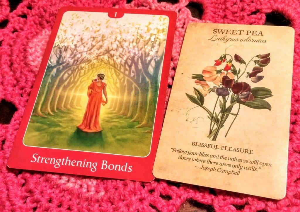 Ace of Pentacles: Secrets to Success Ace of Pentacles: Secrets to Success Everyday Tarot