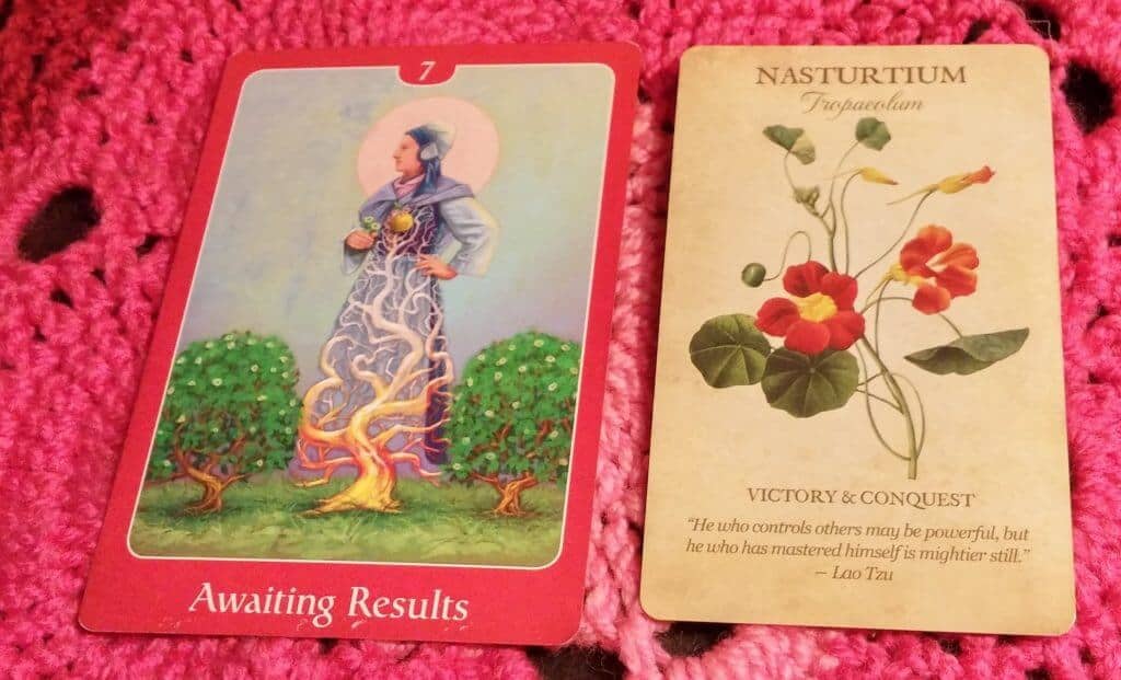 7 of Pentacles: Be Your Own Tree 7 of Pentacles: Be Your Own Tree Everyday Tarot