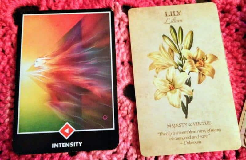 Knight of Wands: Who do you want to be? Knight of Wands: Who do you want to be? Everyday Tarot