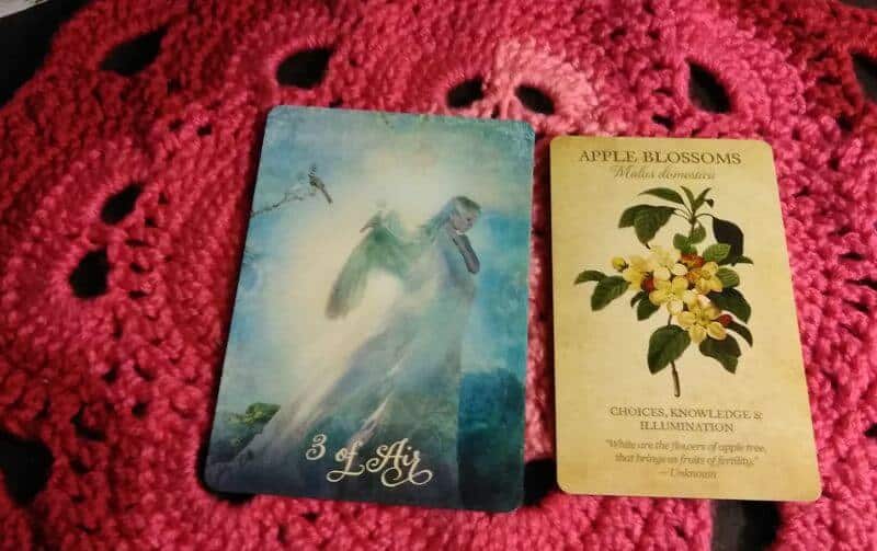Three of Swords Tarot, Apple Blossom