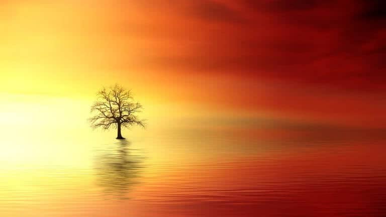 Sun: Finding Happy When it’s Nowhere in Sight
