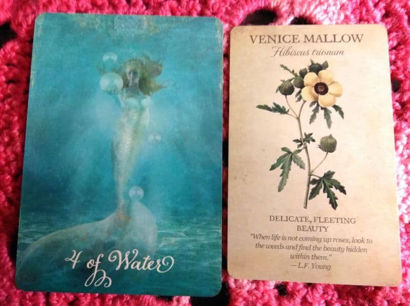 Four of Cups: Flowers in the Weeds Four of Cups: Flowers in the Weeds Everyday Tarot