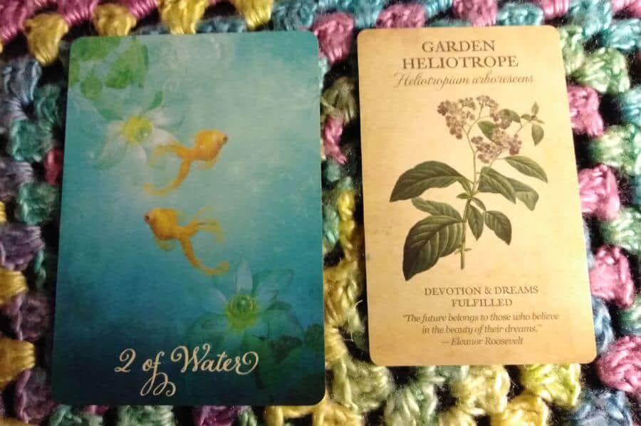 Two of Water Good Tarot