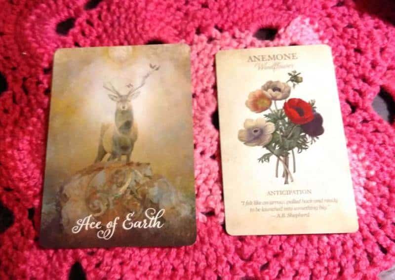 Ace of Pentacles: Watering the Right Seeds Everyday Tarot