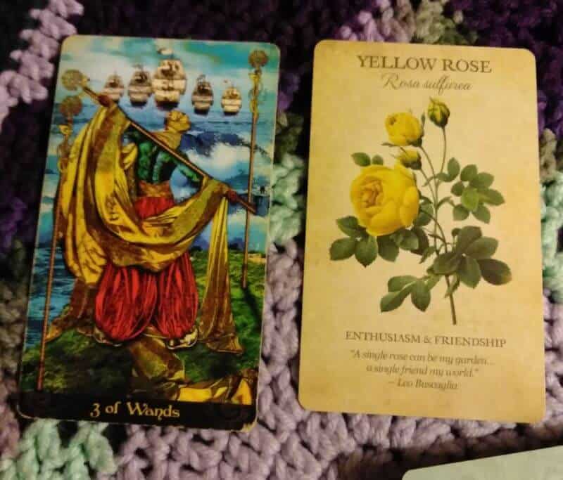Three of Wands: What Do You Expect? Everyday Tarot