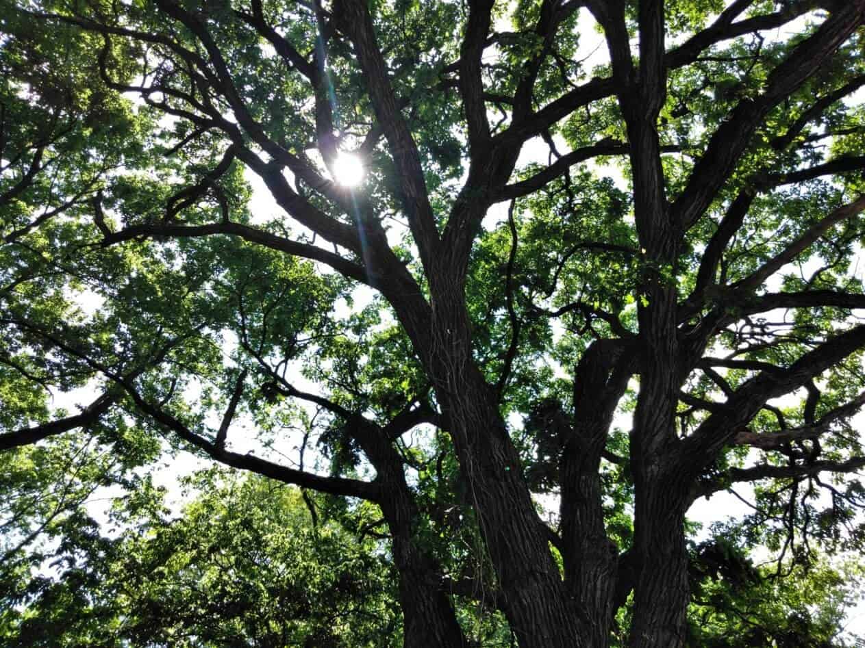 Ten of Cups Reversed: Empty Spaces Everyday Tarot