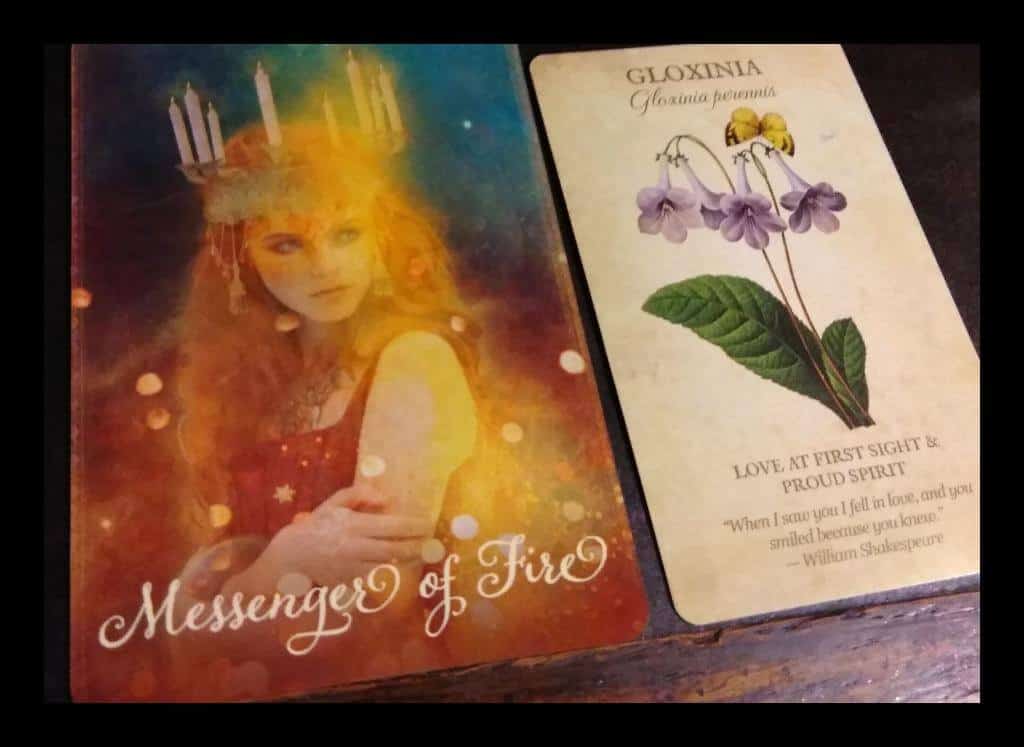 Knight of Wands: Silent Knowing Everyday Tarot