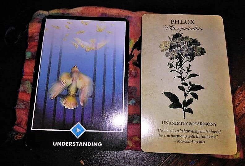 Knight of Cups: Let Yourself Soar Knight of Cups: Let Yourself Soar Everyday Tarot