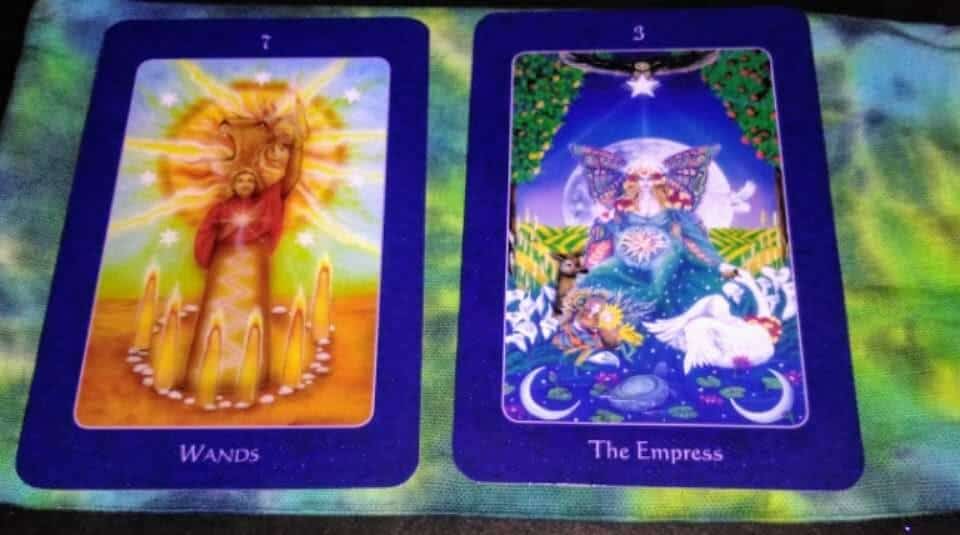 Seven of Wands: Fighting for the Right, Personally Everyday Tarot