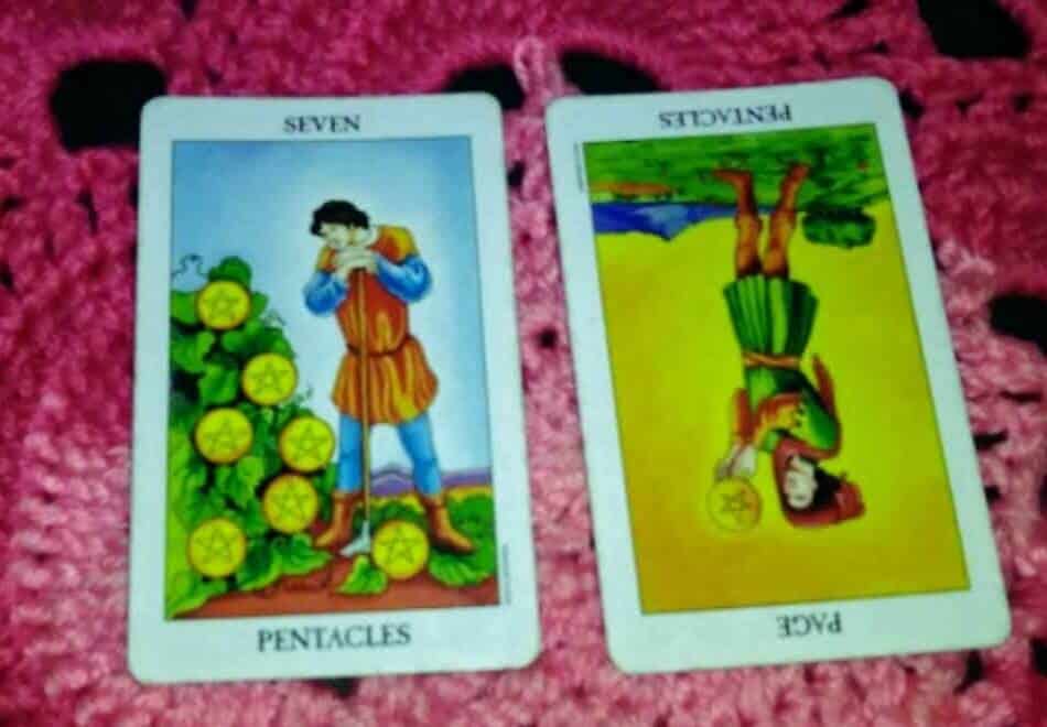 Seven of Pentacles: Tending Your Personal Garden Everyday Tarot