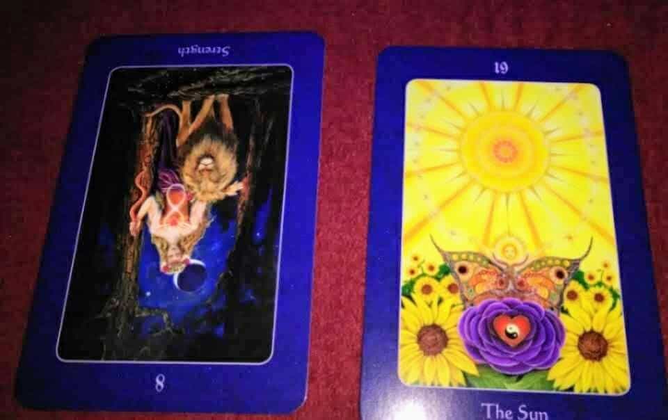 Strength Reversed: Look for the Sunshine Strength Reversed: Look for the Sunshine Everyday Tarot