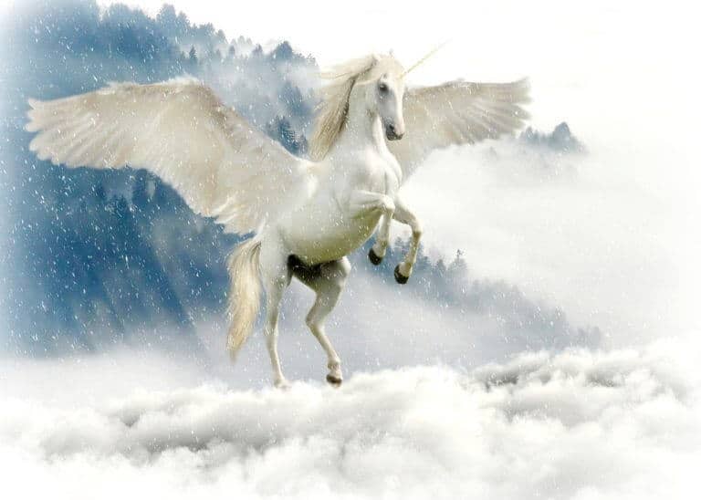 Nine of Cups: Self-Validating Unicorns