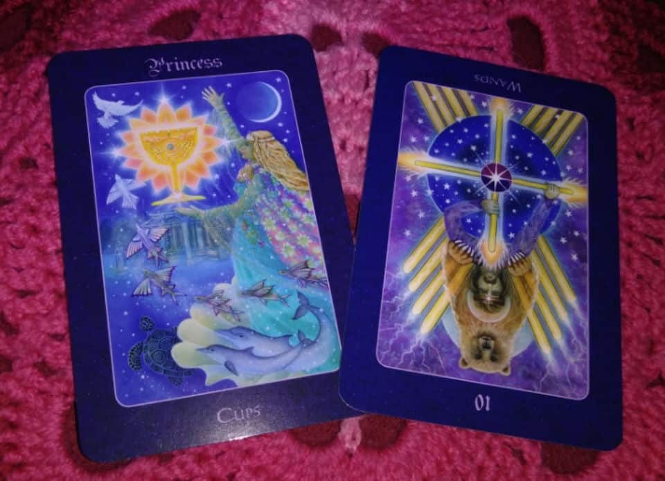 Page of Cups: Squishy Messages Everyday Tarot