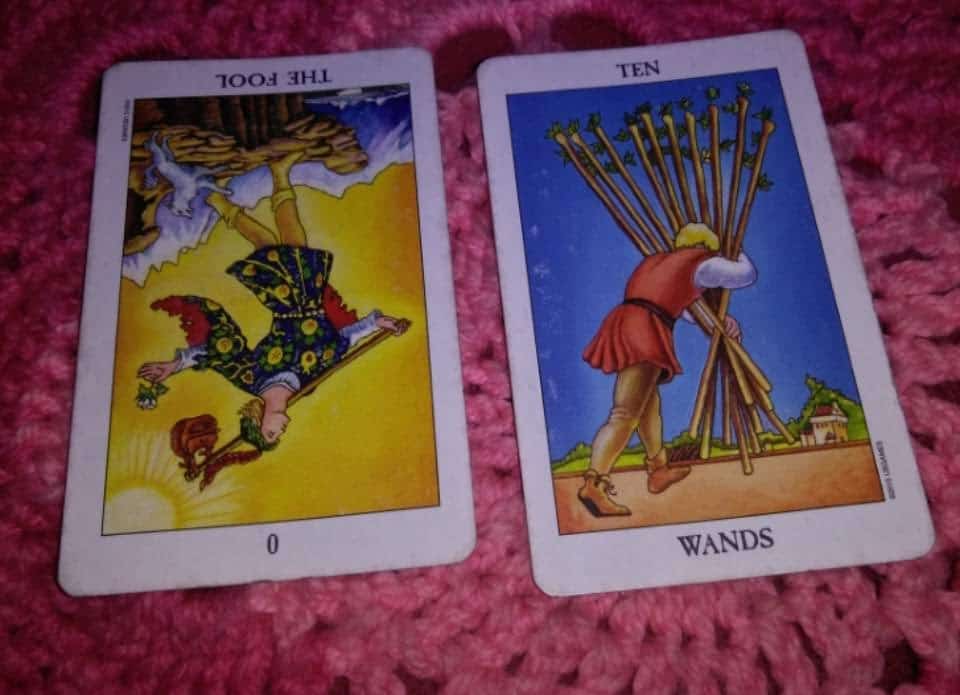 Fool Reversed: Silly Mistakes or Opportunities to Excel? Everyday Tarot