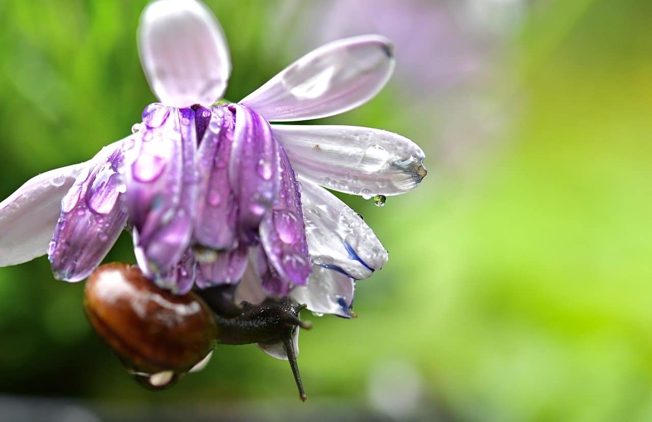 Five of Pents Rx: What's Real? Everyday Tarot