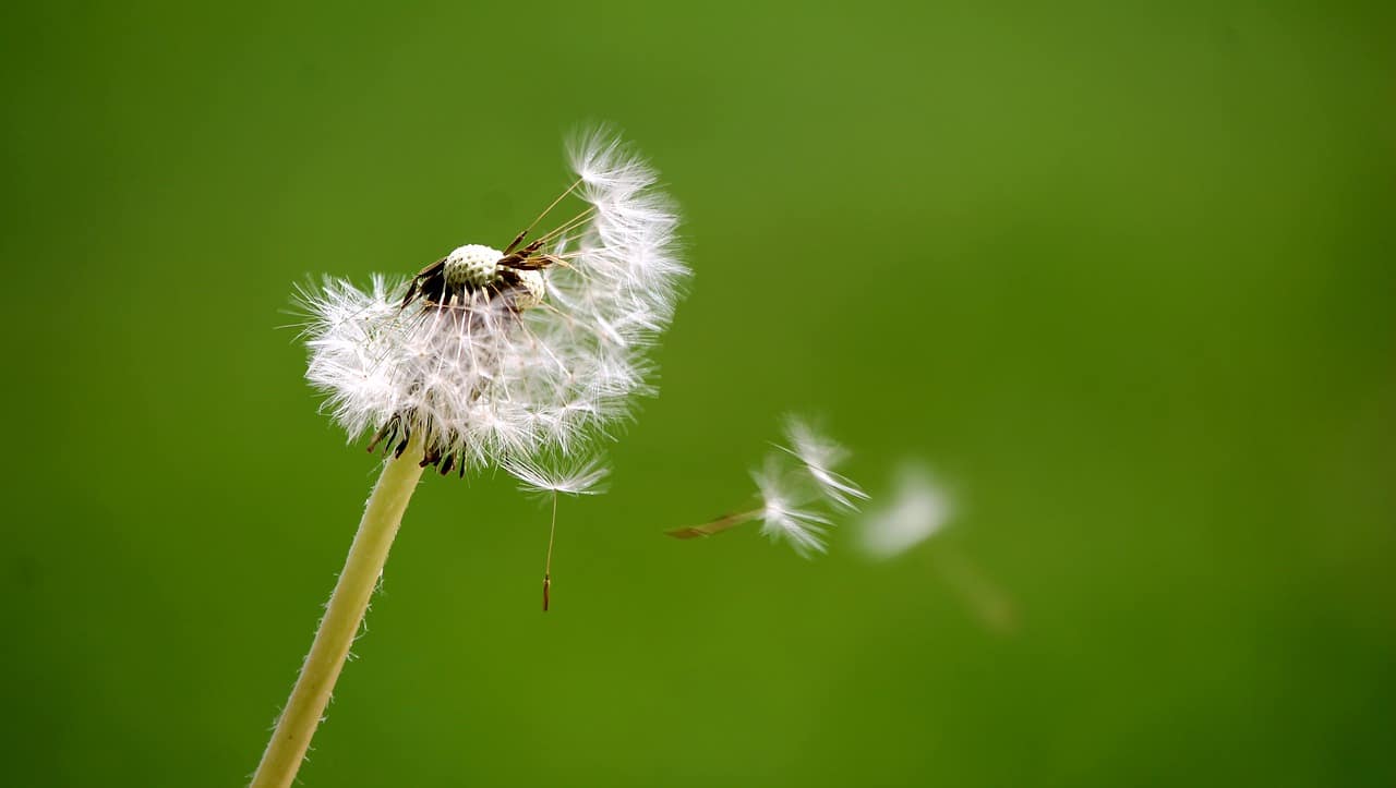 Helping Your Reader: Breathe Magick