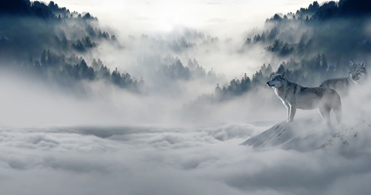 11/21/11: Clearing the fog | 2 of Swords, 7 of Cups Everyday Tarot