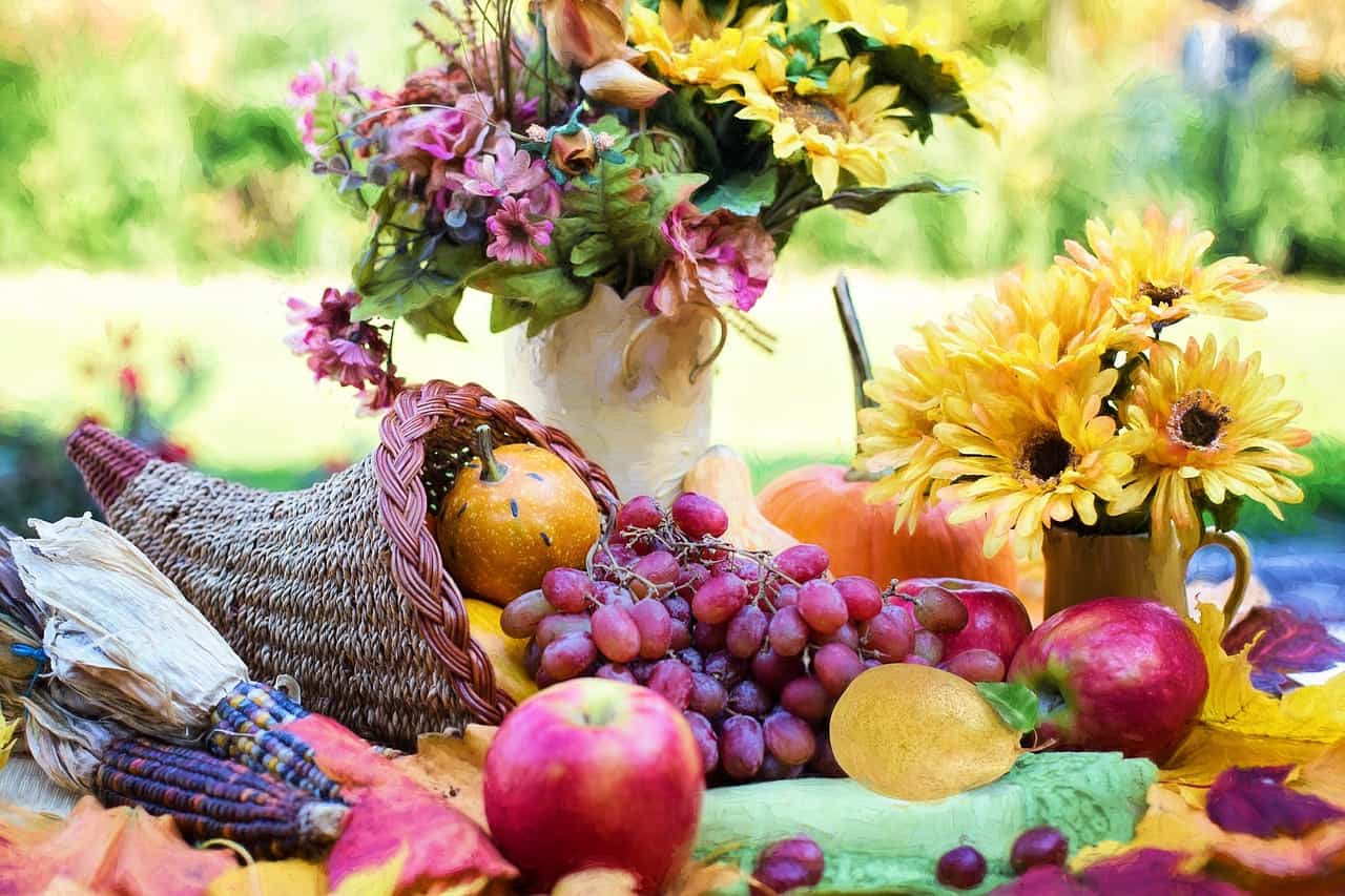 11/24/11: Happy Thanksgiving! | Temperance? Everyday Tarot