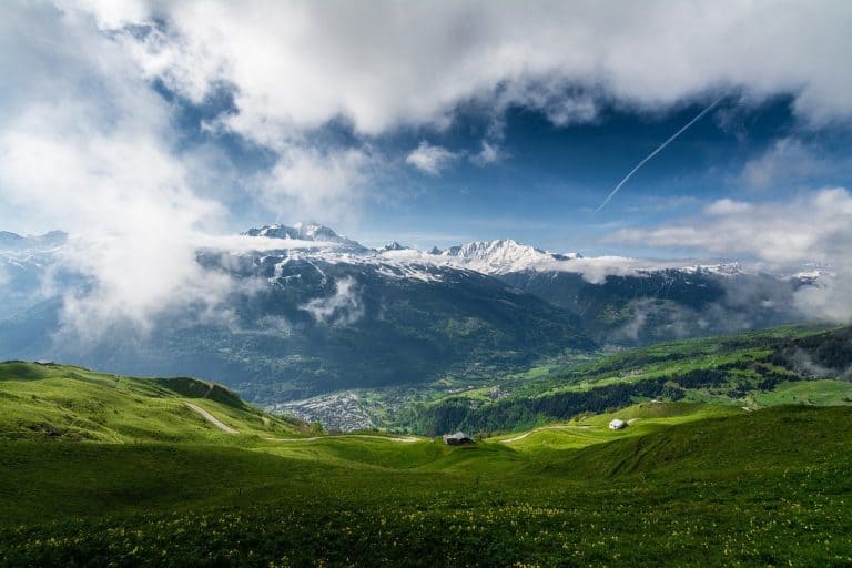 Mini-Meditation: Fly Away from Conflict