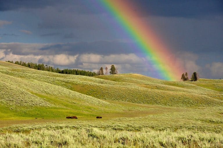 Five of Cups: Find the Rainbow (Together)