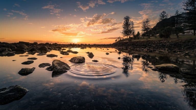 Eight of Wands and Nine of Cups:  Looking for the Sunrise