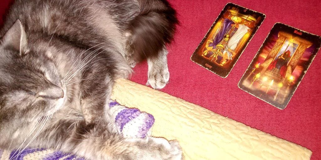 Justice Reversed & Seven of Wands: Staying True Justice Reversed & Seven of Wands: Staying True Everyday Tarot