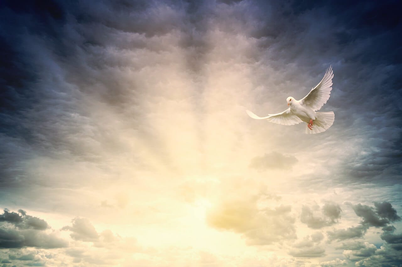 Tarot Sixes: Trusting The Journey