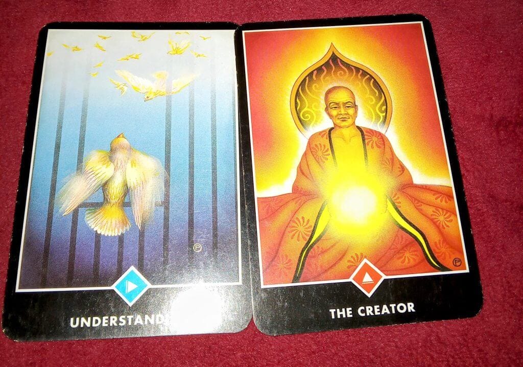 Page of Cups & King of Wands: Writing Your Own Reality Everyday Tarot