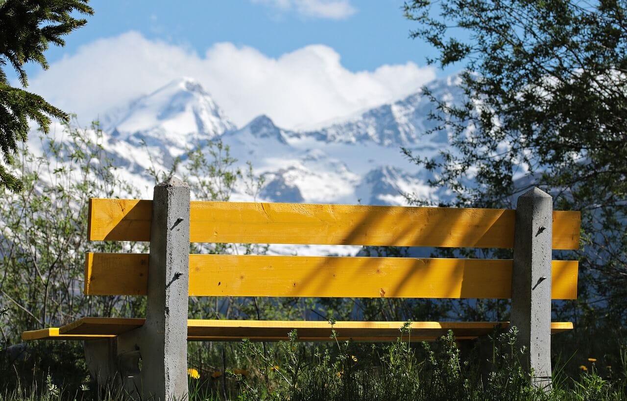 Queen of Wands: Where to look for “Real”