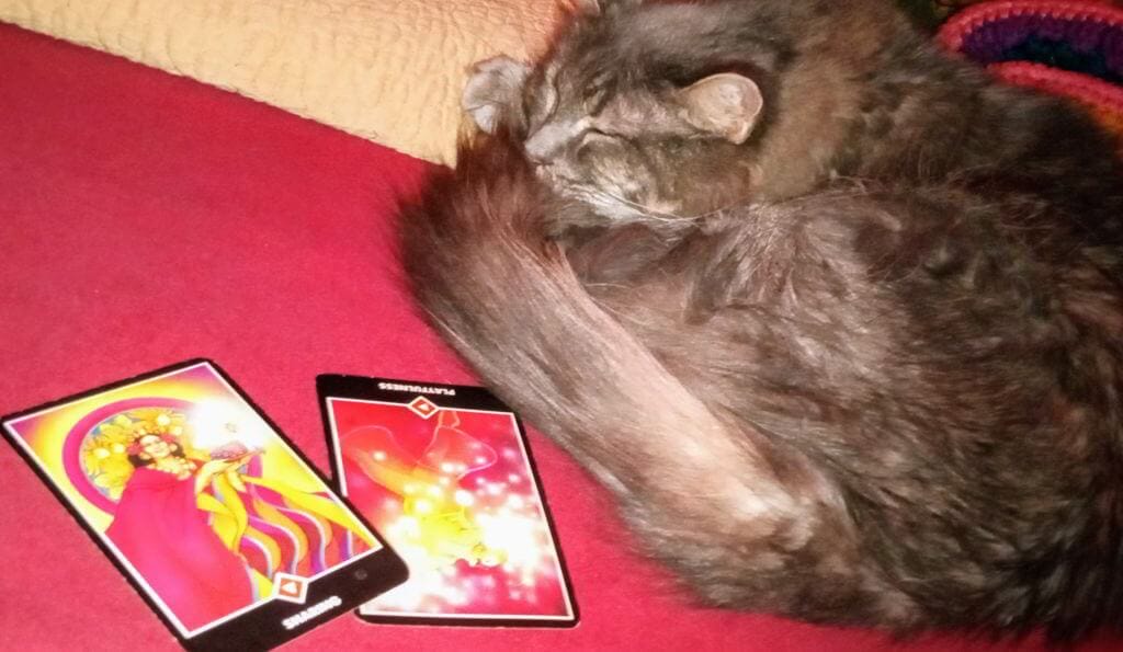 Queen of Wands, Page of Wands Rx: Don't Entertain Culties Magick